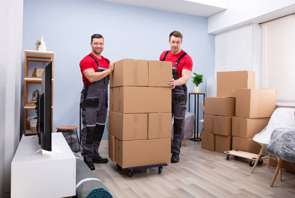 Last-Minute Movers, Pine Hills, FL